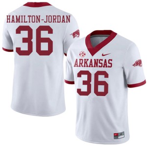 Men's Arkansas Razorbacks Jermaine Hamilton-Jordan #36 Alternate White High School Jerseys 738534-174