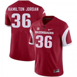 Men's Arkansas Razorbacks Jermaine Hamilton-Jordan #36 Cardinal High School Jerseys 284375-743