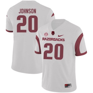 Men's Arkansas Razorbacks Dominique Johnson #20 White Player Jersey 627895-460