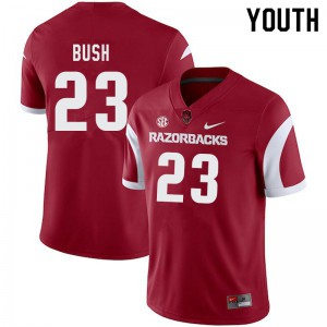 Youth Arkansas Razorbacks Devin Bush #23 Cardinal Stitched Jersey 203224-204