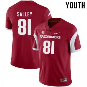 Youth Arkansas Razorbacks Jackson Salley #81 Stitched Cardinal Jerseys 712147-130