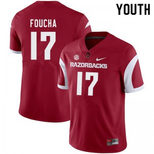 Youth Arkansas Razorbacks Joe Foucha #17 Cardinal Official Jerseys 532541-511