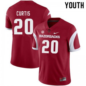 Youth Arkansas Razorbacks Jordon Curtis #20 Cardinal Embroidery Jersey 553239-579