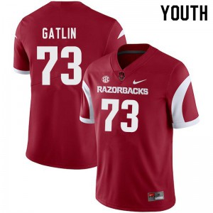 Youth Arkansas Razorbacks Noah Gatlin #73 Stitched Cardinal Jersey 730758-235