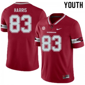 Youth Arkansas Razorbacks Chris Harris #83 College Cardinal Alternate Jerseys 381283-833