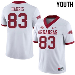 Youth Arkansas Razorbacks Chris Harris #83 Alternate White College Jerseys 824730-970