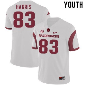 Youth Arkansas Razorbacks Chris Harris #83 NCAA White Jersey 582736-904
