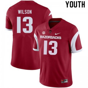 Youth Arkansas Razorbacks Jaedon Wilson #13 Cardinal Football Jerseys 158880-422