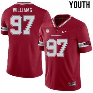 Youth Arkansas Razorbacks Jalen Williams #97 Alternate Cardinal Football Jersey 952955-934