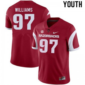 Youth Arkansas Razorbacks Jalen Williams #97 Stitch Cardinal Jerseys 576073-370