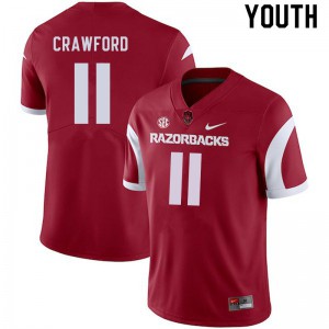 Youth Arkansas Razorbacks Jaquayln Crawford #11 Cardinal Player Jersey 783736-421