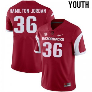 Youth Arkansas Razorbacks Jermaine Hamilton-Jordan #36 Cardinal Alumni Jerseys 799116-470