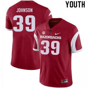 Youth Arkansas Razorbacks Nathan Johnson #39 Cardinal Football Jersey 606744-784