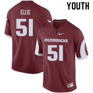 Youth Arkansas Razorbacks Brooks Ellis #51 Cardinal Football Jersey 312729-852