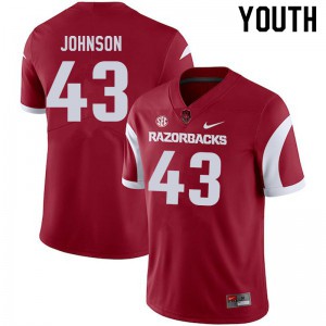 Youth Arkansas Razorbacks Cedric Johnson #43 Cardinal High School Jersey 331333-377