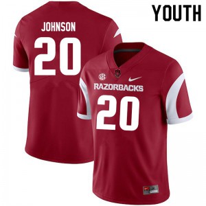 Youth Arkansas Razorbacks Dominique Johnson #20 Cardinal Stitched Jersey 350483-272