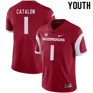 Youth Arkansas Razorbacks Jalen Catalon #1 Cardinal University Jerseys 868952-984