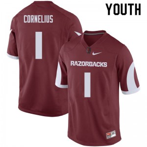 Youth Arkansas Razorbacks Jared Cornelius #1 Football Cardinal Jerseys 479059-725
