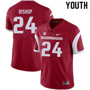 Youth Arkansas Razorbacks LaDarrius Bishop #24 Cardinal Player Jersey 942535-552