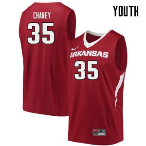 Youth Arkansas Razorbacks Reggie Chaney #35 Official Cardinal Jersey 814031-239