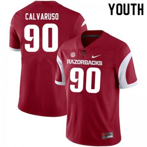 Youth Arkansas Razorbacks Vito Calvaruso #90 Player Cardinal Jerseys 137419-930